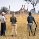 Tourists on a guided walking safari near Wilderness Savuti Camp, Botswana.