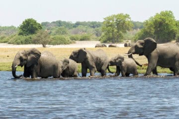 Caprivi Strip