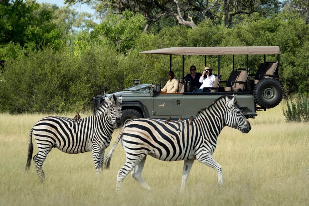 Tourists on a game drive in a safari vehicle observing a pair of zebras at Wilderness Little Vumbura, Botswana.