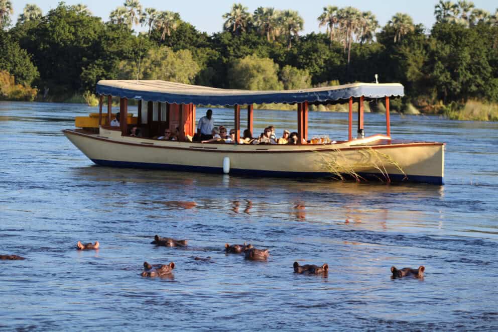 Guests on a Zambezi River boat cruise watching a pod of submerged hippos.