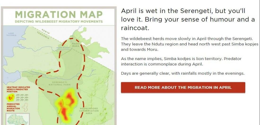 Meet HerdTracker – Our Great Wildebeest Migration prediction tool