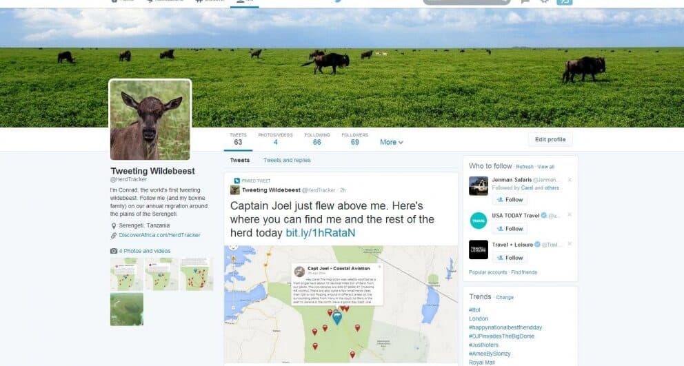 Meet HerdTracker – Our Great Wildebeest Migration prediction tool