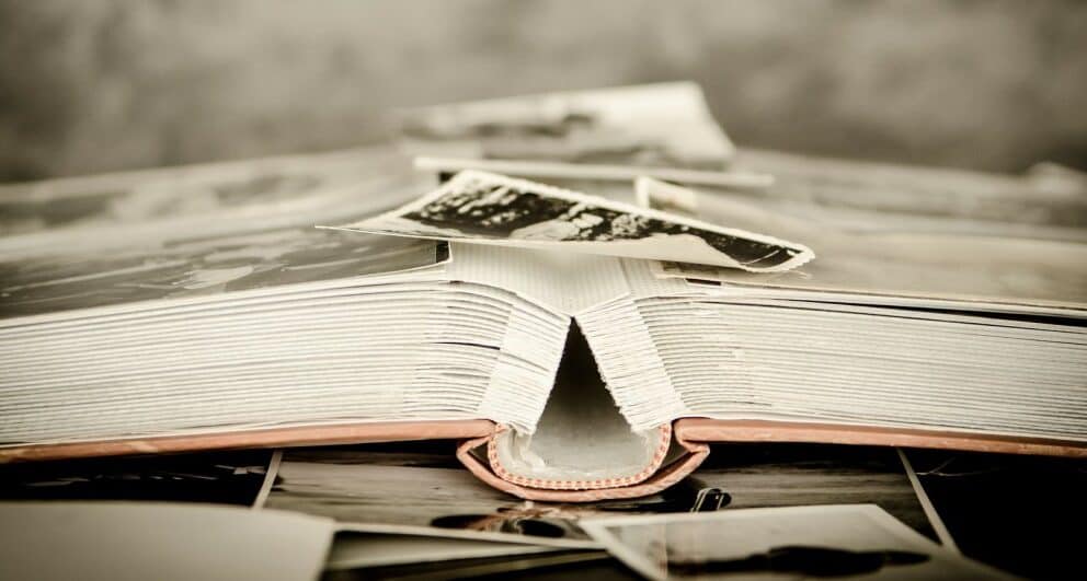 Five tips to make your African safari unforgettable