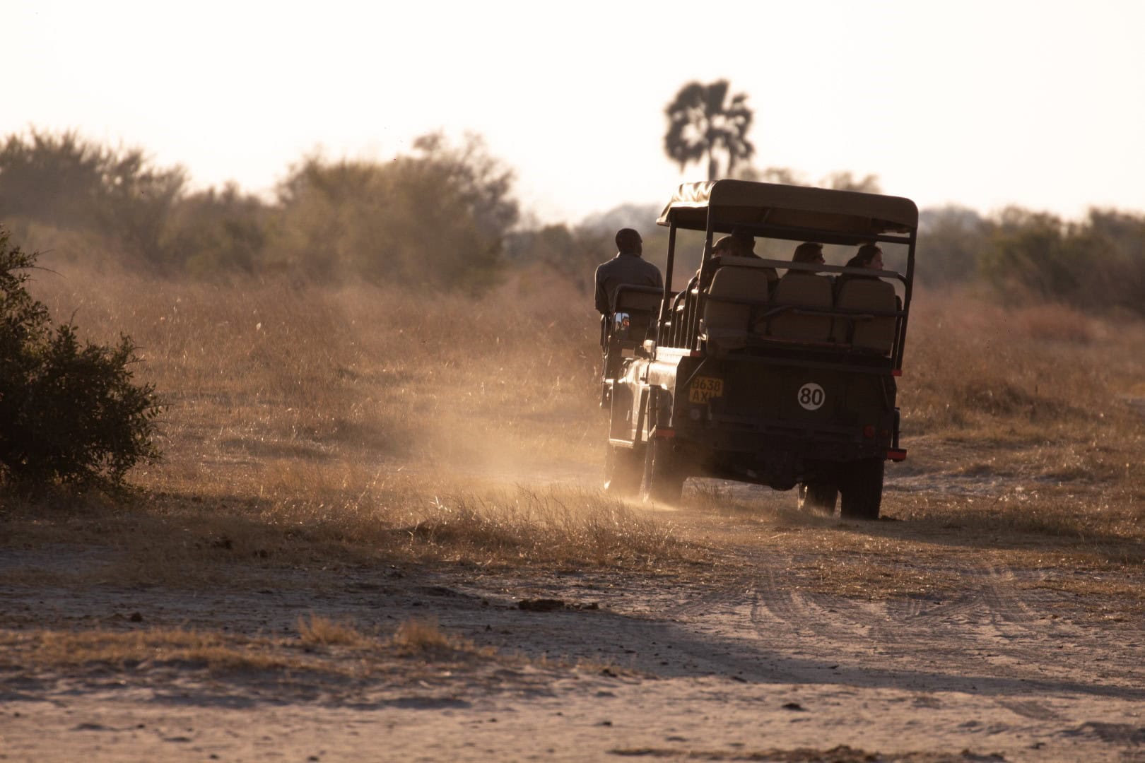 A game drive in Botswana. Ask our safari experts about your Botswana safari cost. 