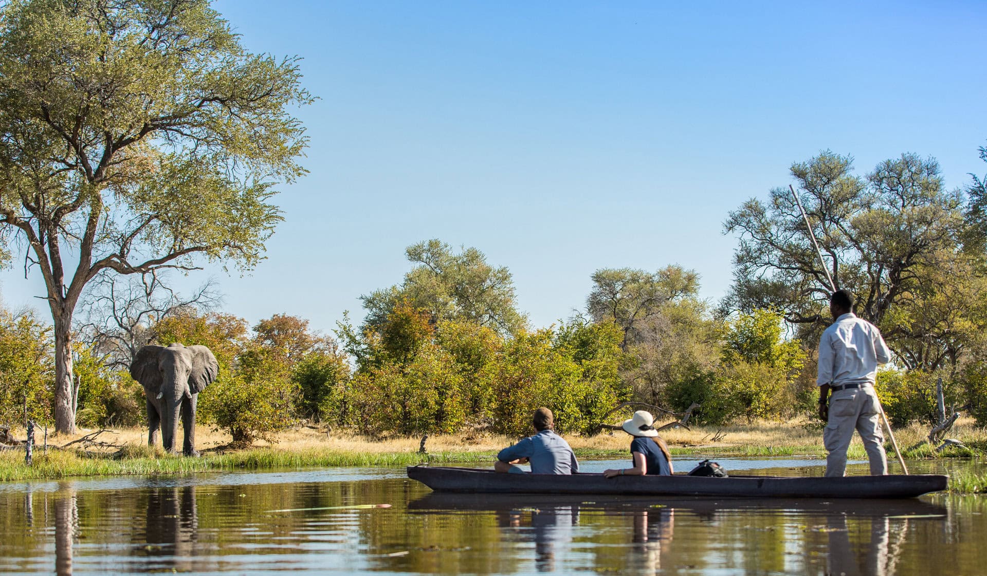 Guests on a guided mokoro ride observing an elephant on the river bank near Machaba Camp, Botswana.