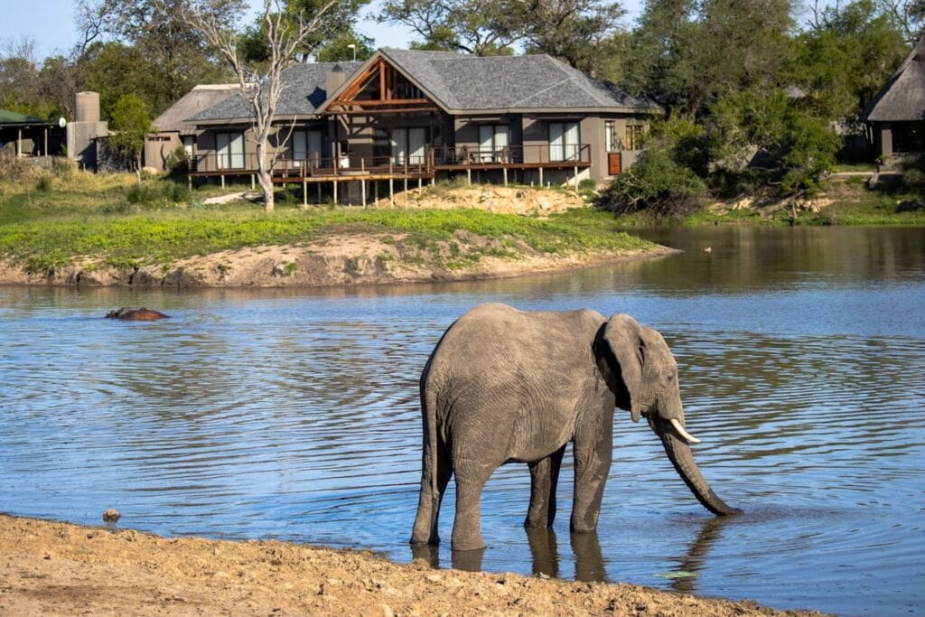 Arathusa Safari Lodge