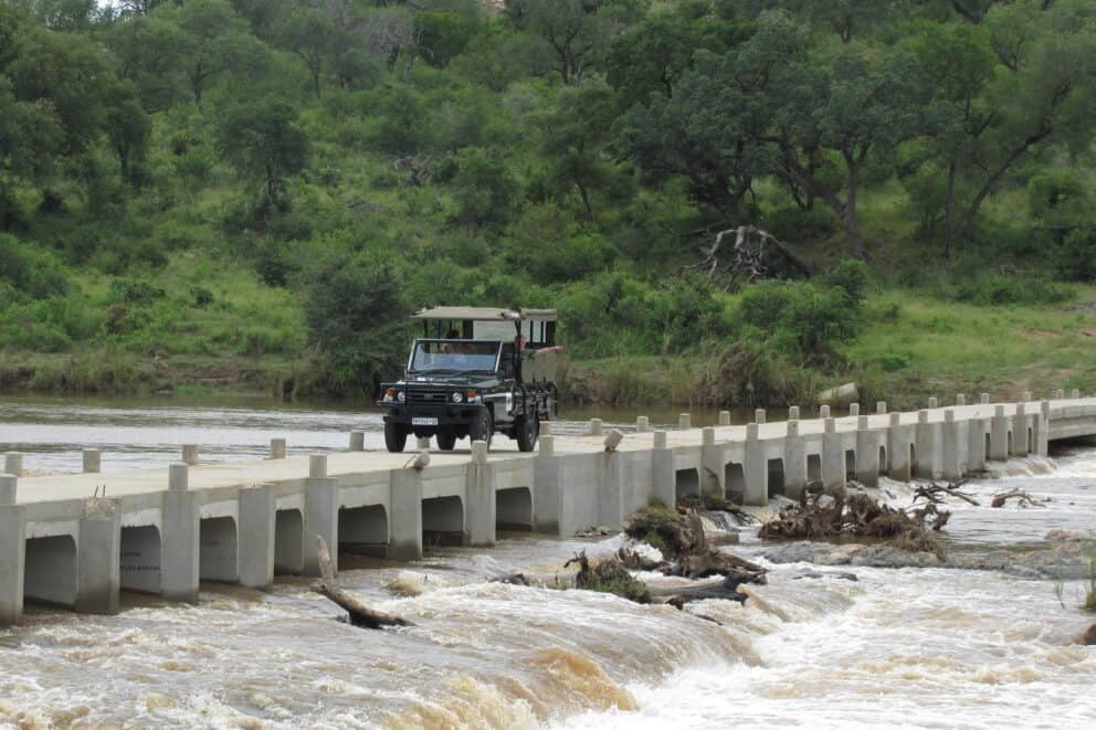 Tourists on a game drive in a safari vehicle crossing a bridge in Kruger National Park at Mjejane River Lodge, South Africa.