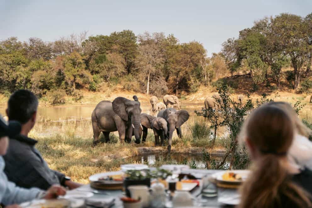 A family enjoying breakfast on the deck while observing a herd of elephants at the waterhole at Simbavati River Lodge, South Africa.