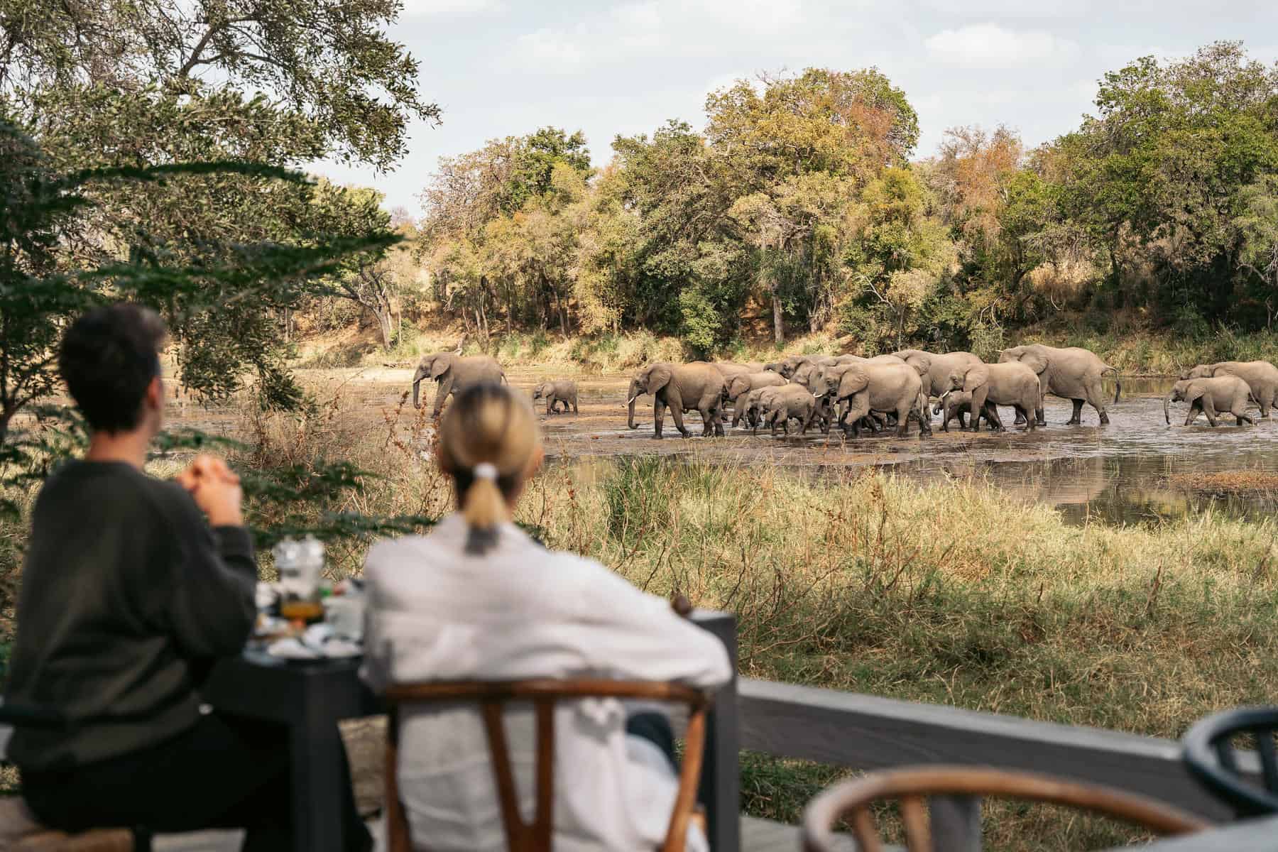 A couple observing a herd of elephants at a waterhole from the deck at Simbavati River Lodge, South Africa.