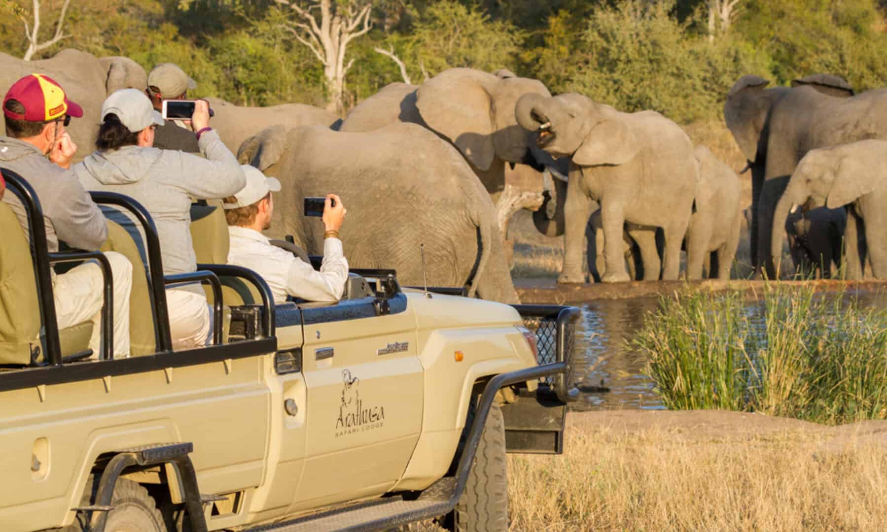 South Africa Big 5 Safari and Victoria Falls Journey
