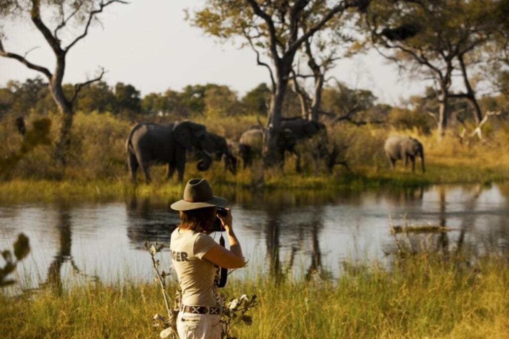 Bush walk in Selinda. A perfect place for a Botswana honeymoon safari