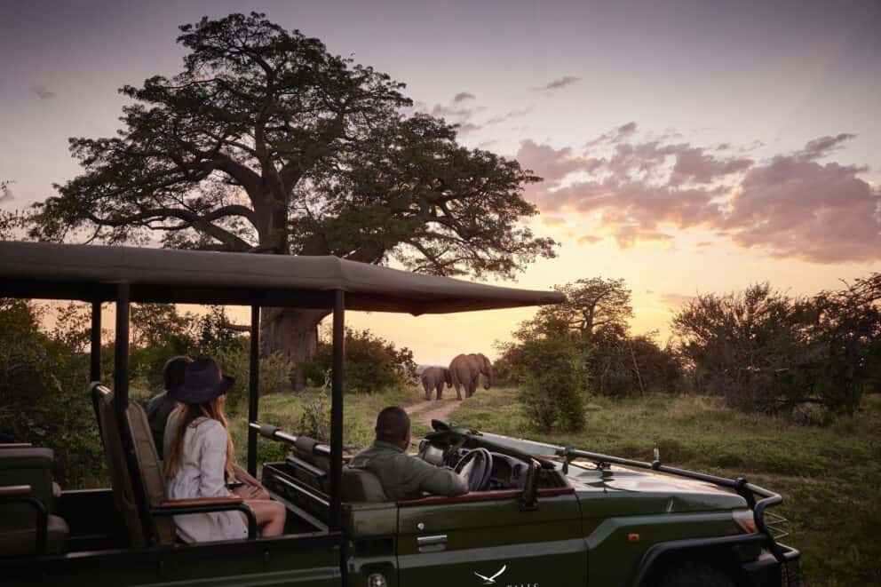 Game Drive on a Victoria Falls Honeymoon | Photo Credits - Victoria Falls River Lodge