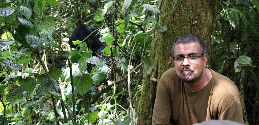 Mountain gorilla safari dream becomes a reality by Suneesh Menon