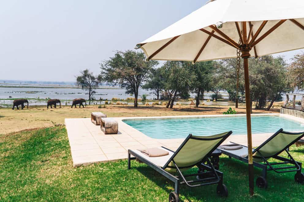 View from the pool deck at Dulini Anabezi of elephants roaming along the river in Zambia.