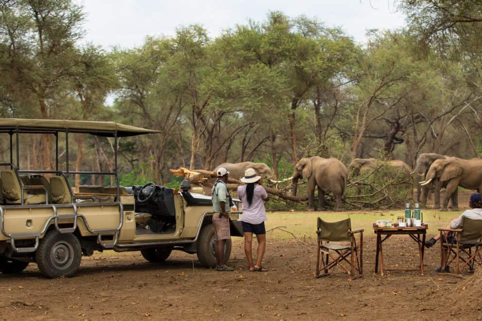 Tourists observing a herd of elephants in the distance while enjoying their bush breakfast on a game drive at Dulini Anabezi, Zambia.