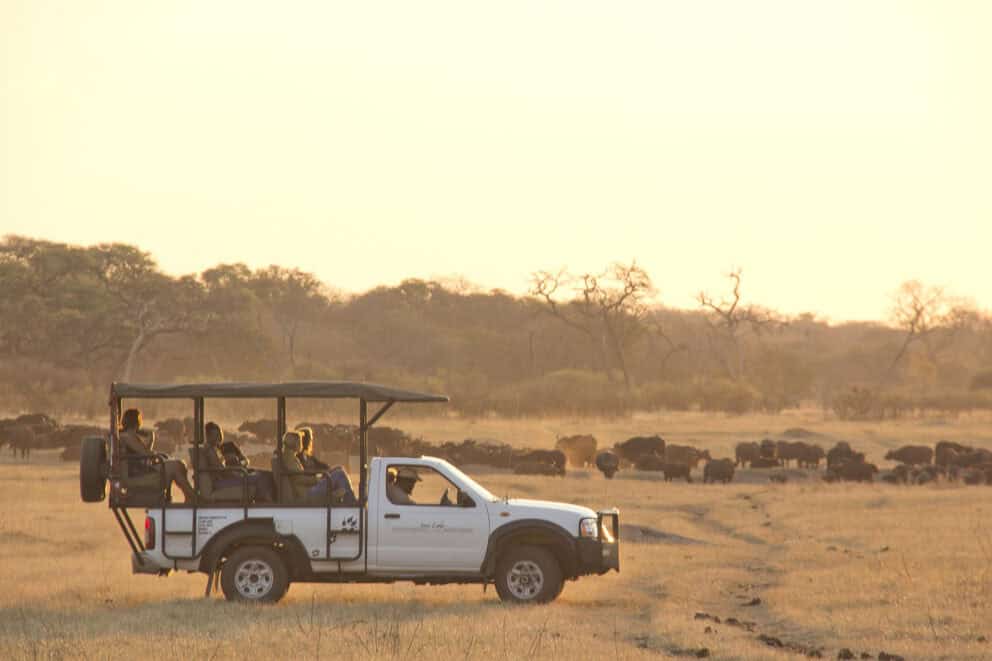 Game drive | Photo credits: Khulu Bush Camp