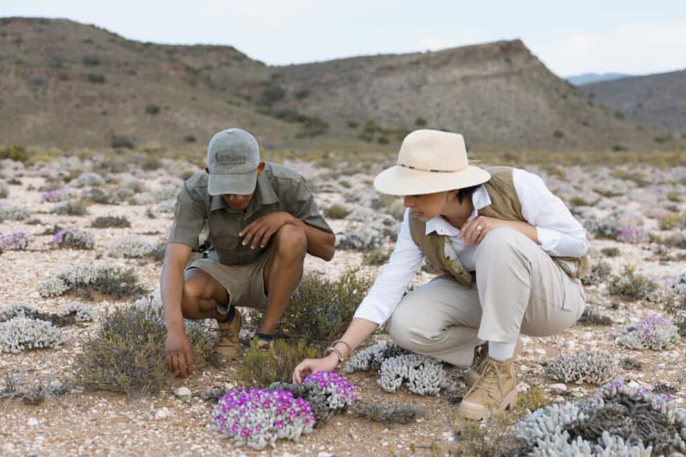 Tourist on a guided walk looking at the flora at Sanbona Gondwana Family Lodge.
