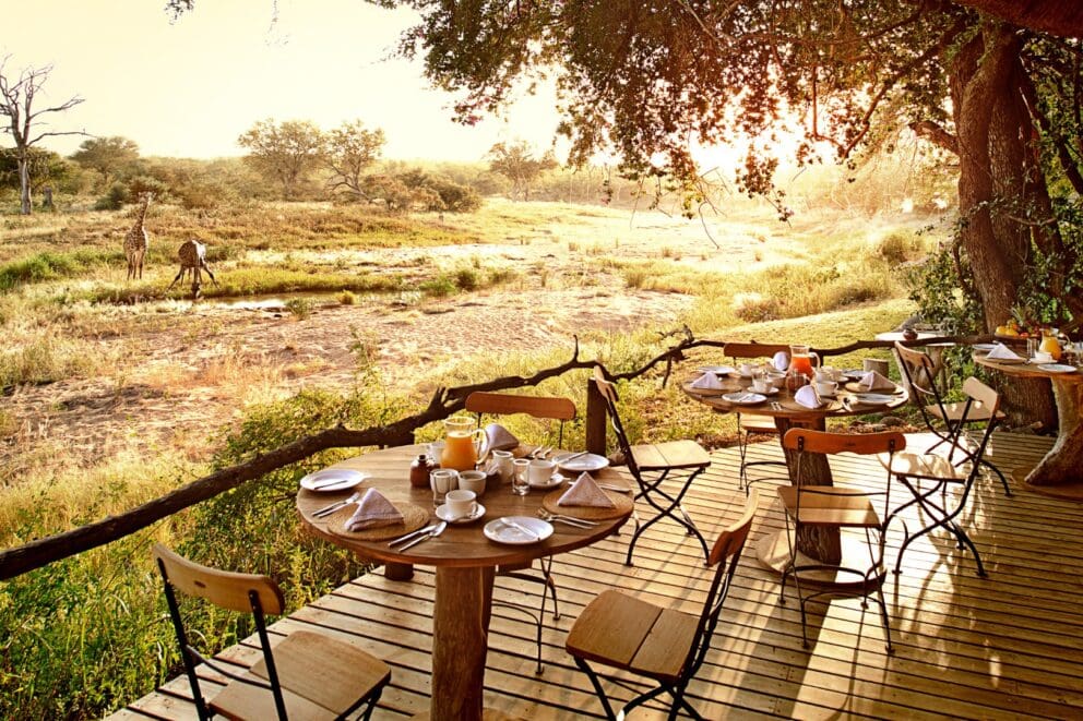 Sunset with seating view | Photo credit: Motswari Private Game Reserve