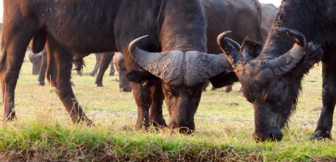 Florencia’s first time travelling to Africa