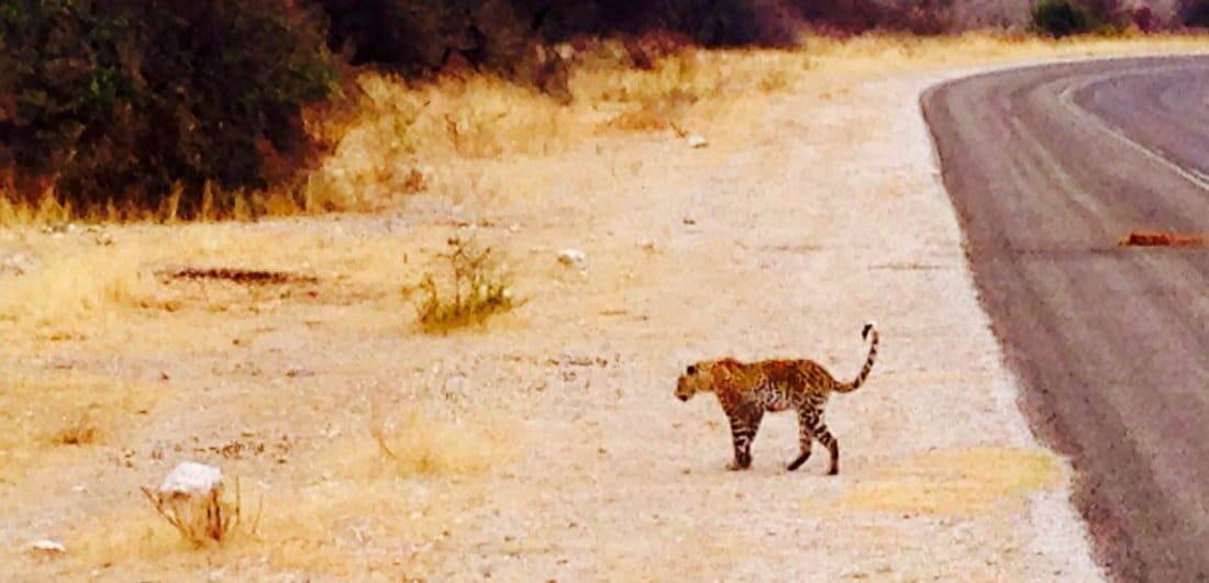 Florencia’s first time travelling to Africa