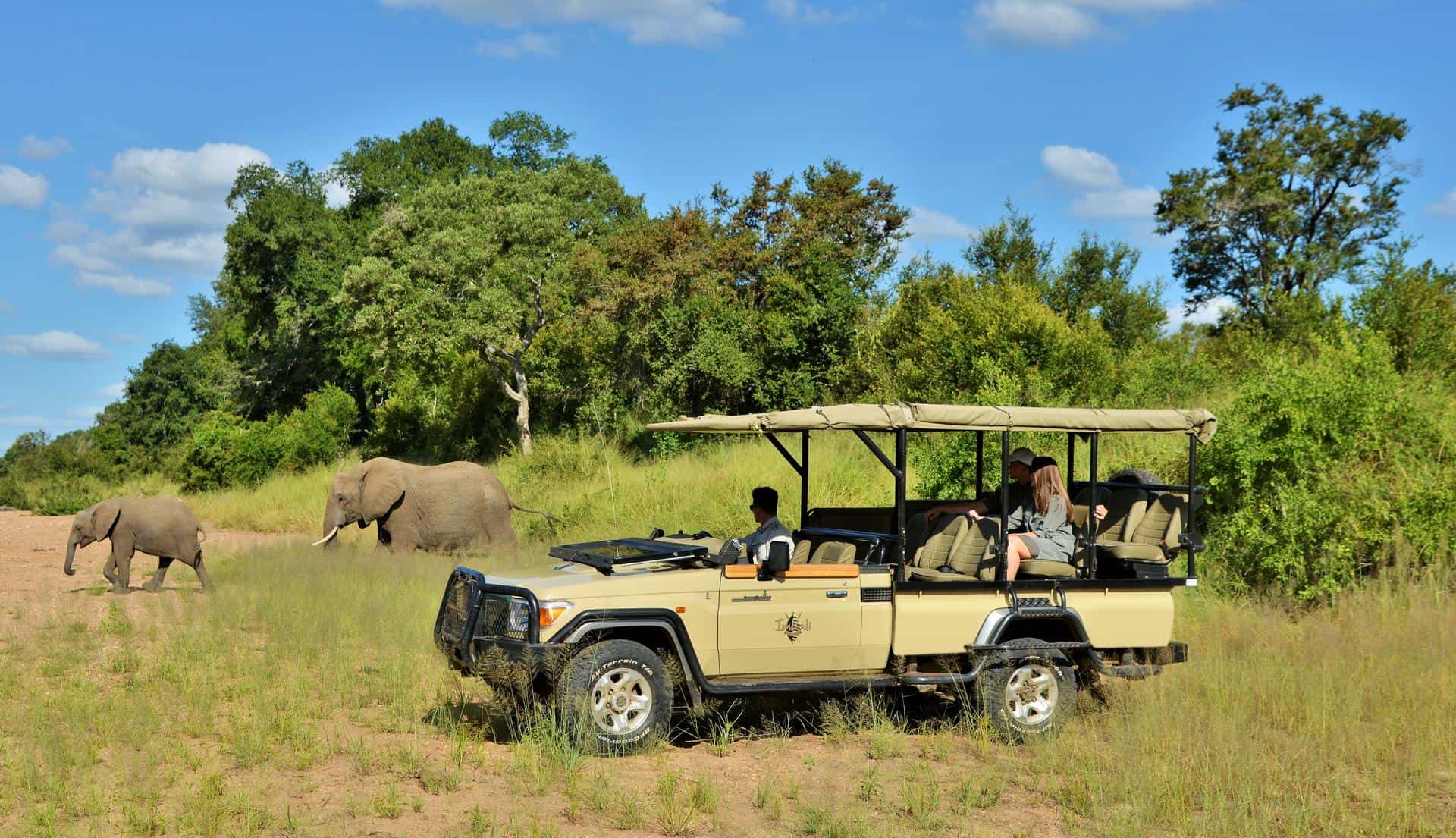 Guests on a game drive in a safari vehicle watching a herd of elephants roam across the African landscape near Imbali Safari Lodge, South Africa.