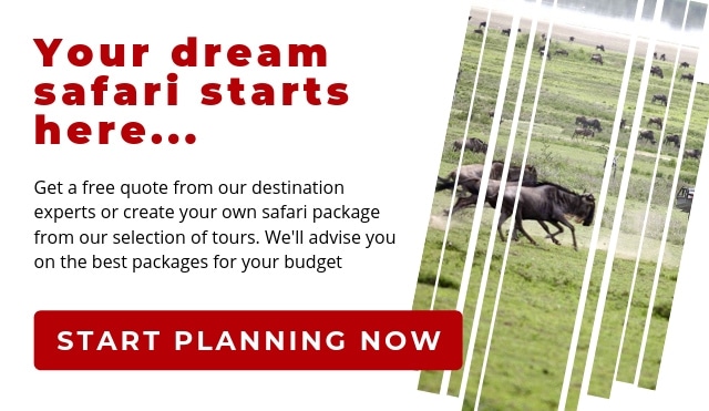 My African dream - Benigna and Mario’s Serengeti safari adventure