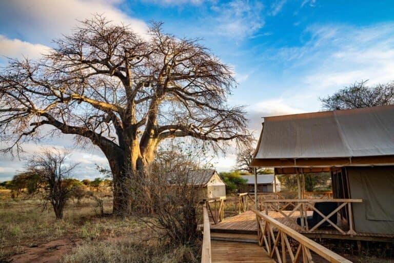 Exterior view of Ndovu Tented Lodge.