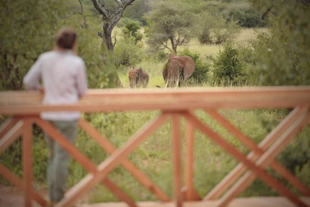 arangire Ndovu Tented Lodge | Photo Credits - Tarangire Ndovu Tented Lodge