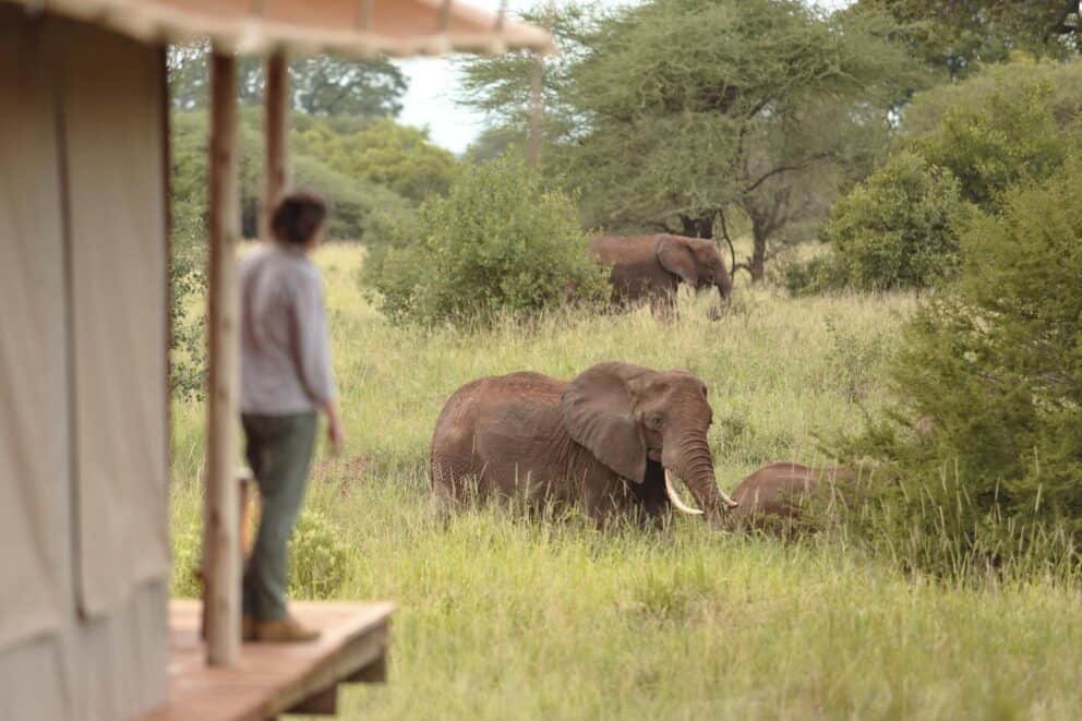 arangire Ndovu Tented Lodge with Elephant | Photo Credits - Tarangire Ndovu Tented Lodge
