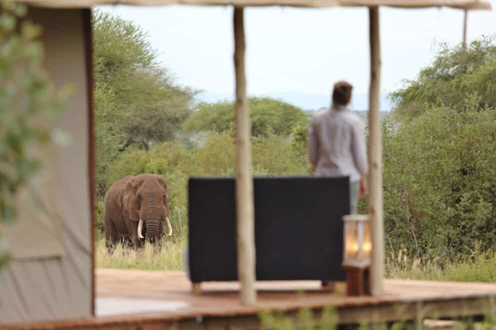 arangire Ndovu Tented Lodge Visitors Camp | Photo Credits - Tarangire Ndovu Tented Lodge