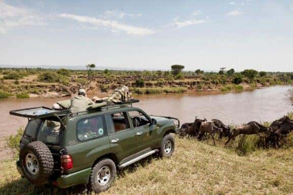 Migration game drive at Mara River, perfect for digital detox travel