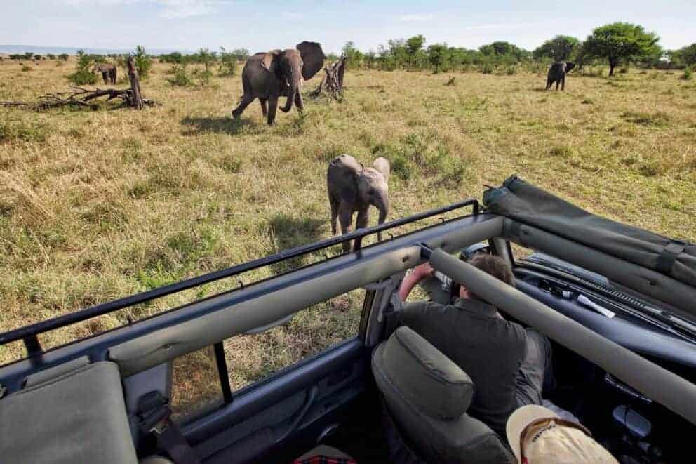 Game drive | Photo credits: Serian's Serengeti Lamai