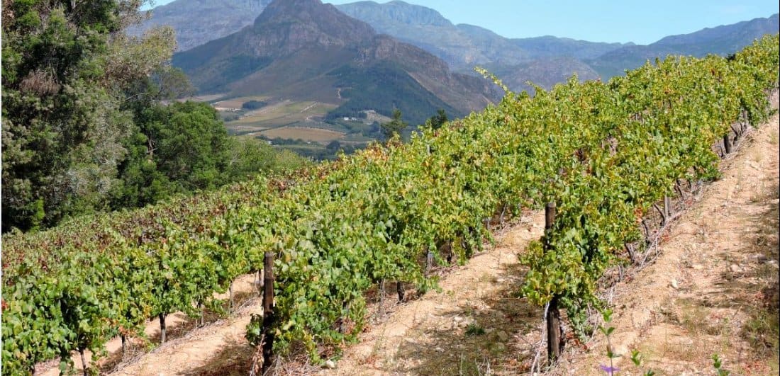 Exploring the Garden Route - Annemarie’s South African safari