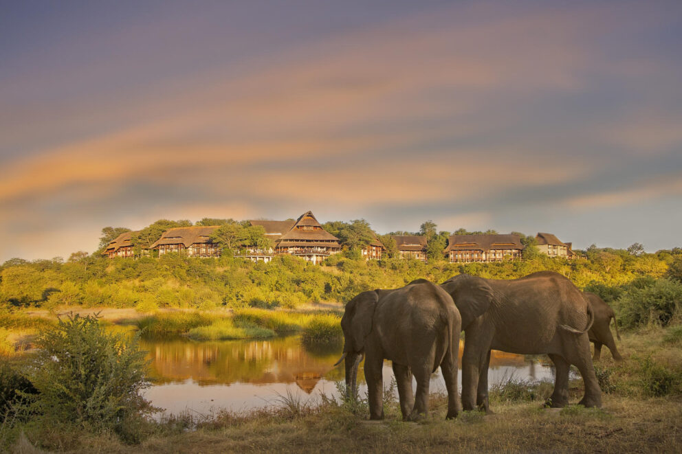 A herd of elephants at a water hole at Victoria Falls Safari Lodge, Zimbabwe.
