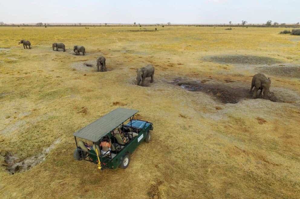 A herd of elephants digging for fresh water and minerals in Hwange National Park at Nehimba Safari Lodge, Zimbabwe.