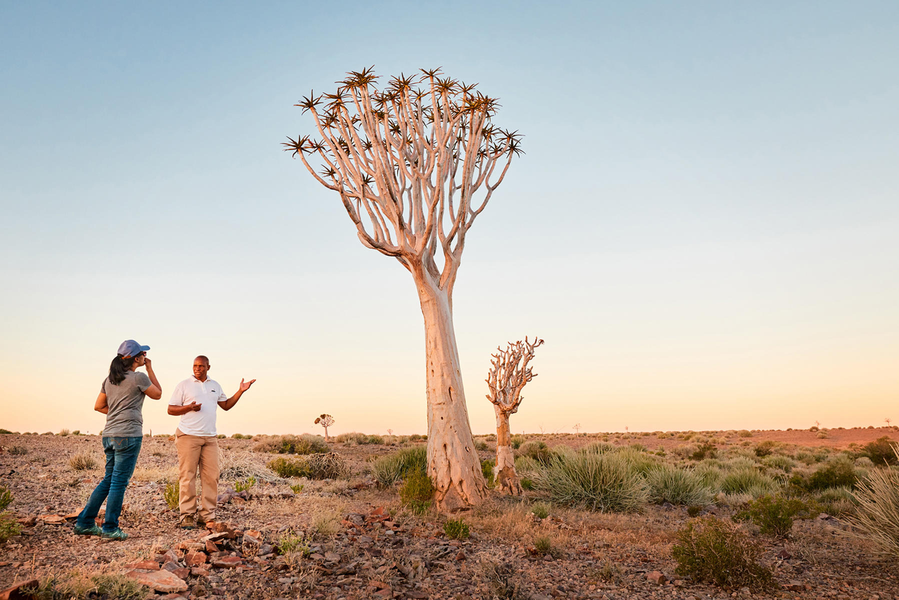 A guided walk through the desert landscape at sunrise at Fish River Lodge, Namibia