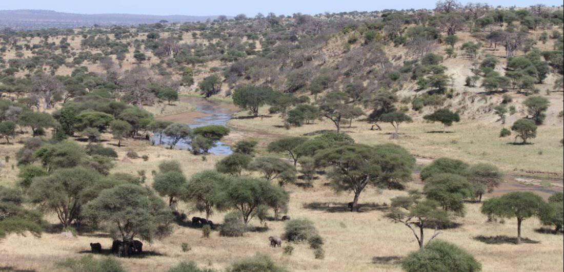 Everlasting African memories