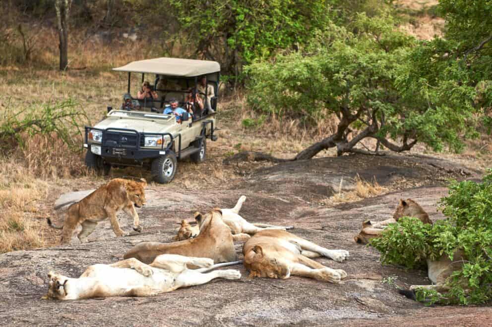 Game Drive Safaris | Photo Credits - Mwiba Lodge