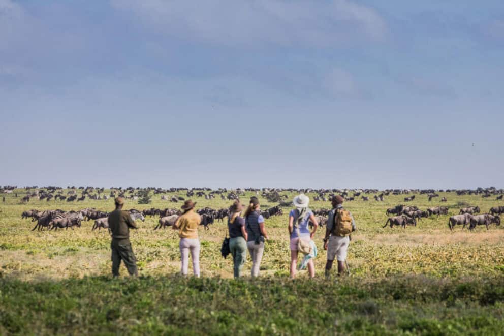 Walking Safaris | Photo Credits - Mwiba Lodge