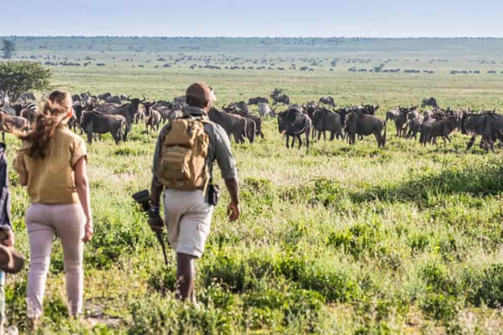 Walking safari in Tanzania | Photo credit: Mwiba Lodge