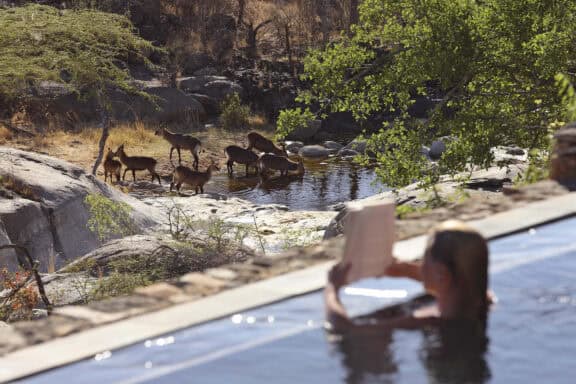 Mwiba Lodge Watering Hole | Photo Credits - Mwiba Lodge