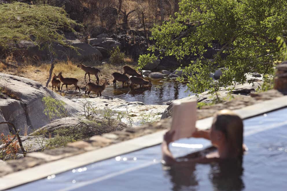 Mwiba Lodge Watering Hole | Photo Credits - Mwiba Lodge