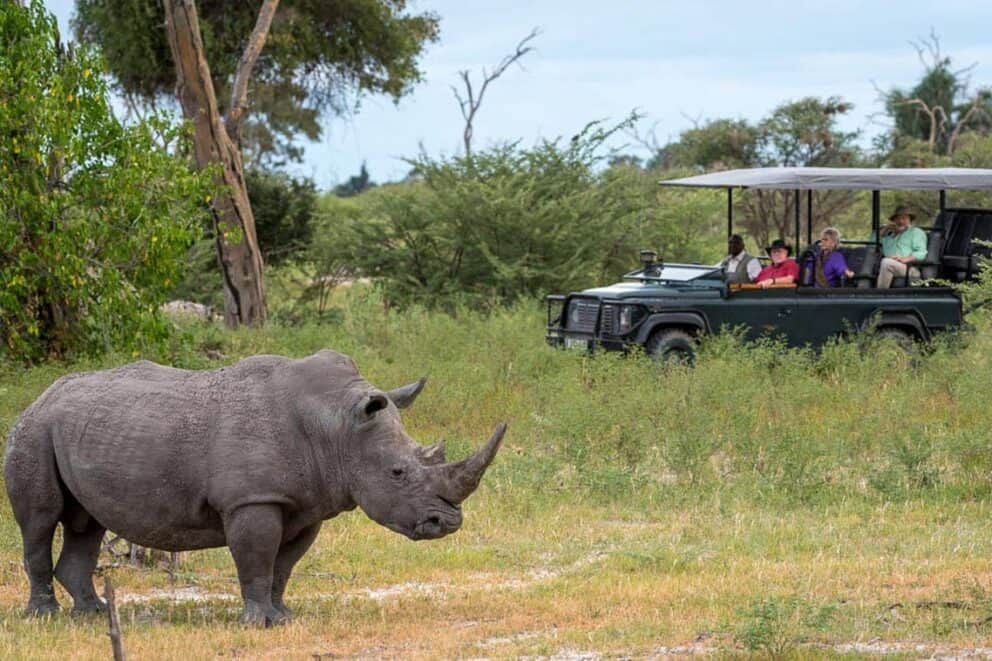 Moremi Game Reserve Game Drive