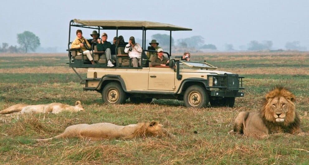 Two weeks in Zambia - a holiday itinerary