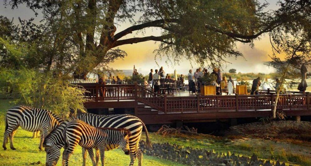 Two weeks in Zambia - a holiday itinerary