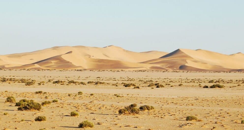 Eight things to do in Swakopmund