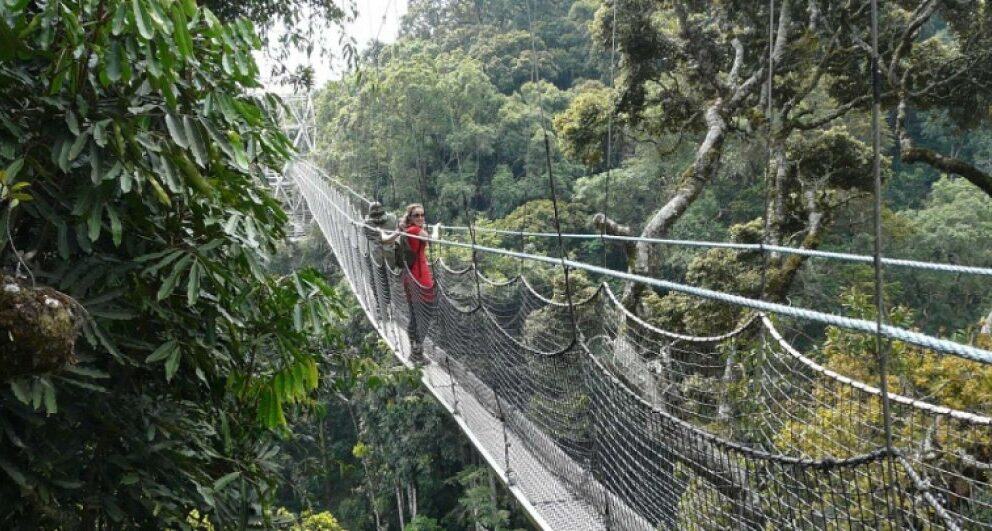 A rough guide to the best national parks in Rwanda