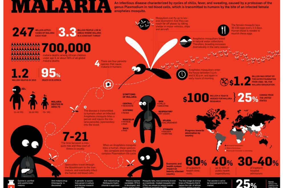 Tips for those wishing to visit Africa for the first time