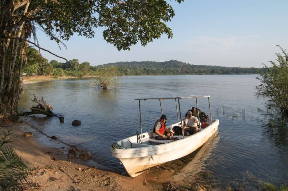 Five things to do in Rubondo Island National Park