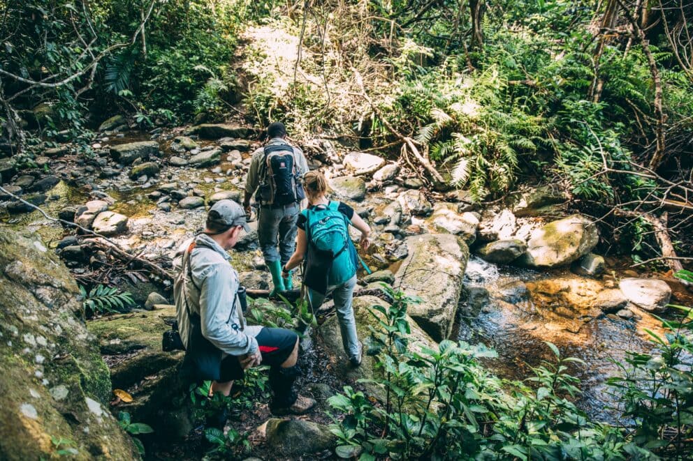 Trekking activity in Mahale Mountains National Park